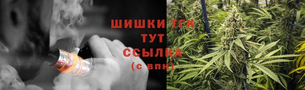 ПСИЛОЦИБИНОВЫЕ ГРИБЫ Алзамай