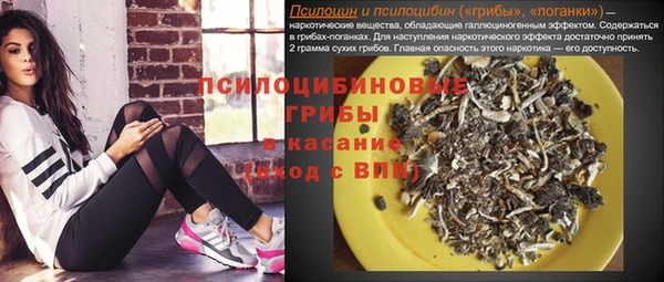 ПСИЛОЦИБИНОВЫЕ ГРИБЫ Алзамай