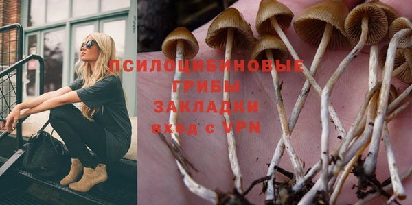 PSILOCYBIN Алексин