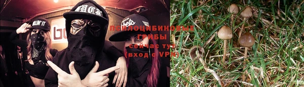 PSILOCYBIN Алексин
