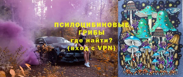 ПСИЛОЦИБИНОВЫЕ ГРИБЫ Алзамай
